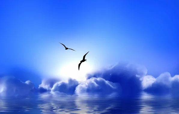 Картинка облака, чайки, Blue Paradise