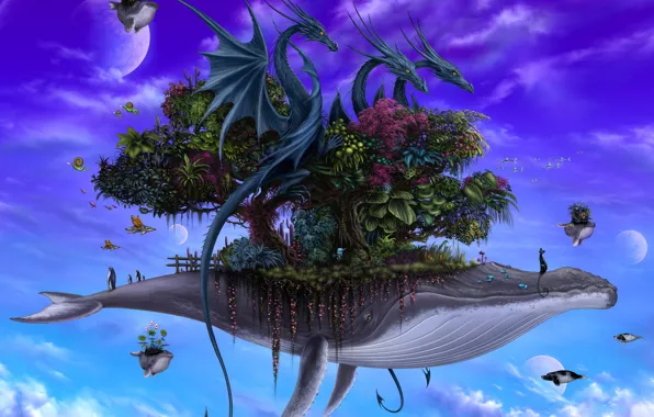 Животные, растительность, планета, drei drachen kontrast kleiner, Dragons on Whales