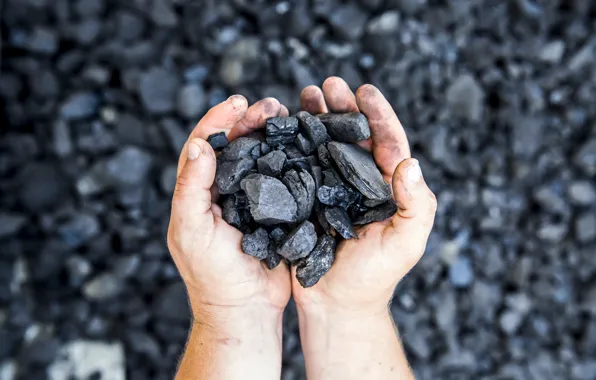 Black, carbon, hands, solid fuel