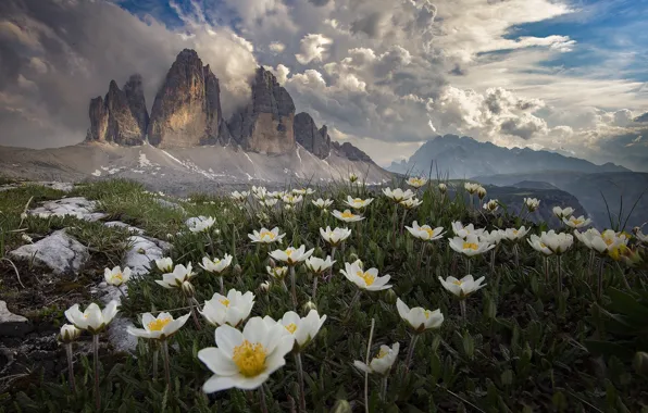 Картинка облака, пейзаж, цветы, горы, природа, Италия, травы, анемоны