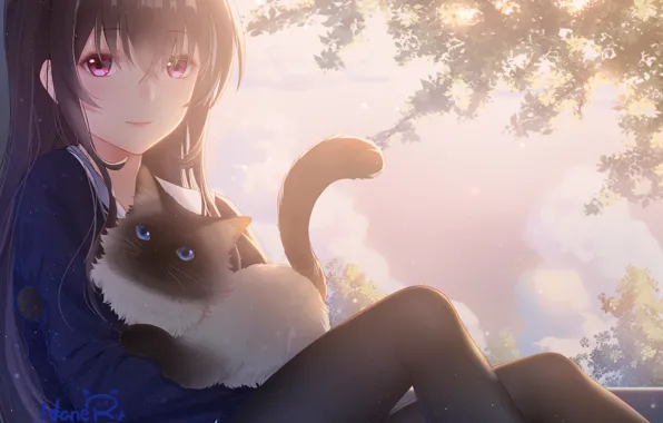 Кот, девушка, аниме, арт, сидит, saenai heroine no sodatekata