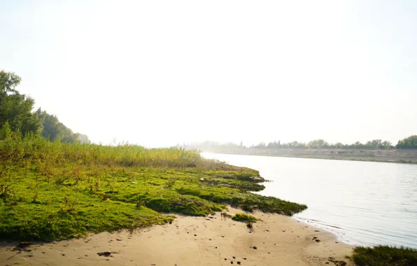 Песок, пляж, трава, вода, солнце, природа, роса, река