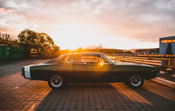 Green, 1969, dodge, sunset, charger
