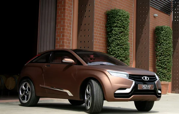 Concept, Lada, xray