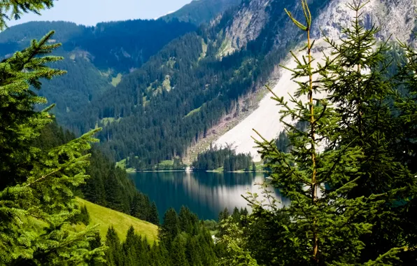 Картинка Nature, Mountains, Austria, Alpes, Lake, Trees, Meadow, Tannheimer Tal
