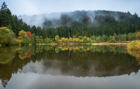 Осень, лес, небо, деревья, пейзаж, природа, туман, озеро