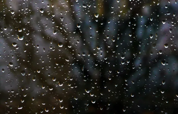 Картинка стекло, капли, ночь, дождь, окно, rain drops on glass, Panasonik DMC-TZ3