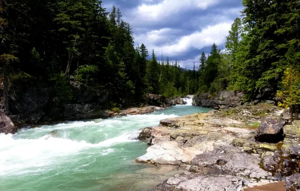Лес, небо, деревья, горы, поток, речка