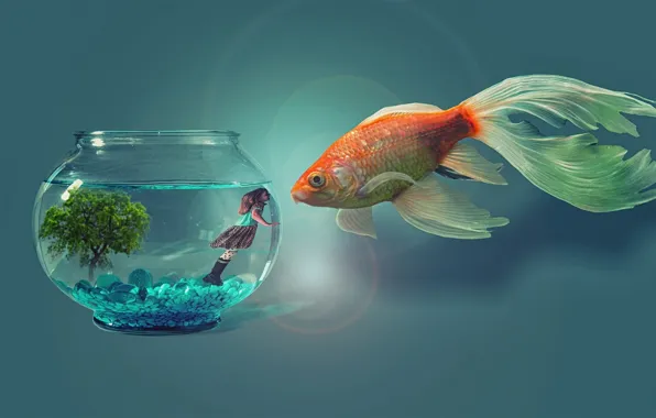 Картинка digital art, fish, artwork, photo manipulation, animal themes