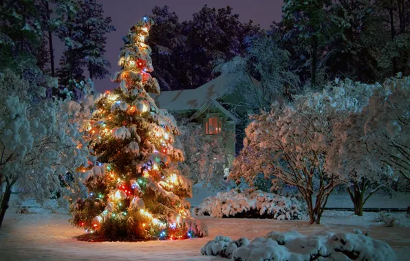 Картинка зима, снег, деревья, ночь, дом, праздник, ель, ёлка