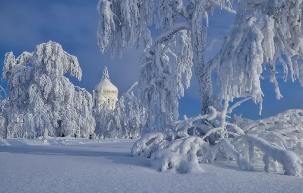 Картинка зима, снег, деревья, мороз, сугробы, храм, Россия, купол