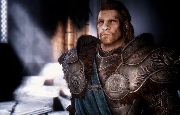 Hero, Warrior, Skyrim, The Elder Scrolls V: Skyrim, Bethesda Softworks, Armor, Video Game, Nord