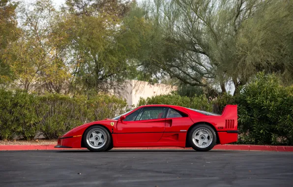 Картинка Ferrari, F40, 1990, Ferrari F40