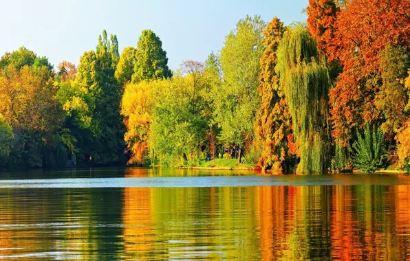 Картинка осень, деревья, озеро, landscape, nature, autumn, leaves, tree