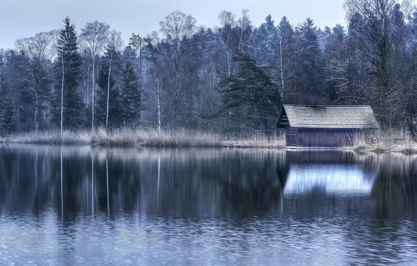 Пейзаж, озеро, дома