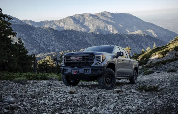 Mountain, Grey, GMC, Pickup, Forest, Crew Cab, GMC Sierra, 2023