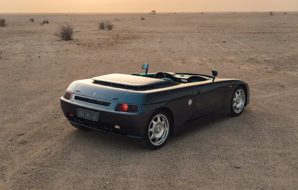 Суперкар, supercar, 1995, De Tomaso, единственный экземпляр, the only instance, De Tomaso Guara Barchetta, De …