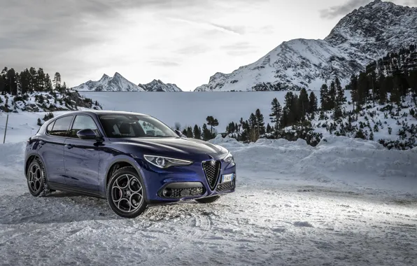 Картинка снег, Alfa Romeo, 2019-20, Stelvio Sprint