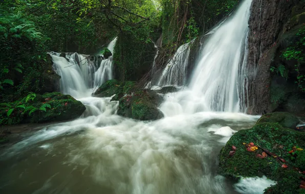 Лес, река, водопады, Испания, каскад, Spain, Страна Басков, Basque Country