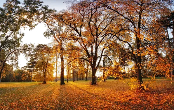Осень, листья, деревья, парк, landscape, nature, park, autumn