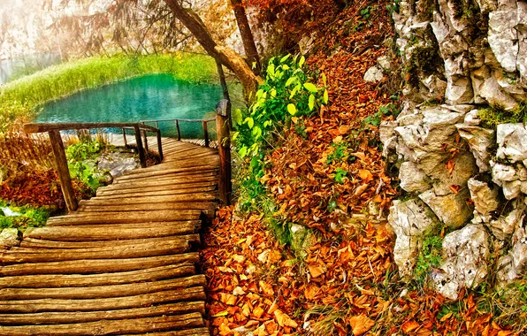 Картинка дорога, листья, озеро
