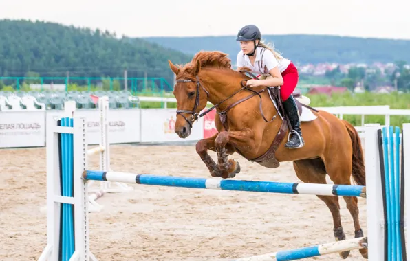 Картинка девушка, конь, спорт