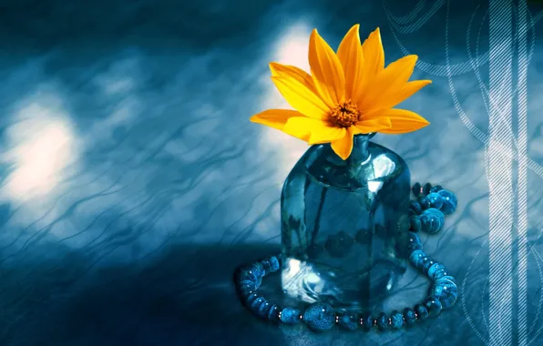 Flower, Blue, Yellow, Bottle