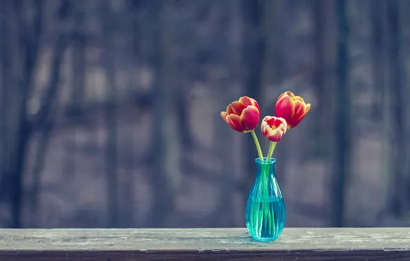 Картинка поверхность, тюльпаны, три, ваза, доска