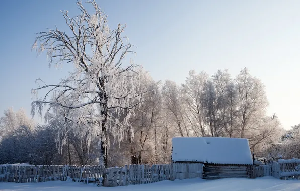 Зима, снег, пейзаж, дом, забор