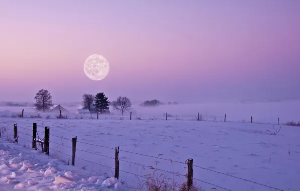 Картинка зима, поле, снег, ночь