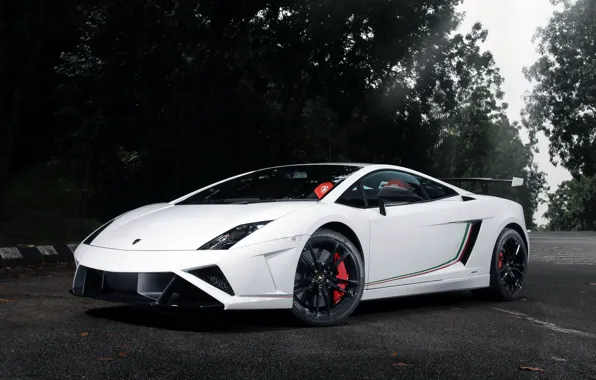 Картинка Lamborghini, Gallardo, LP570-4, Corse, Squadra