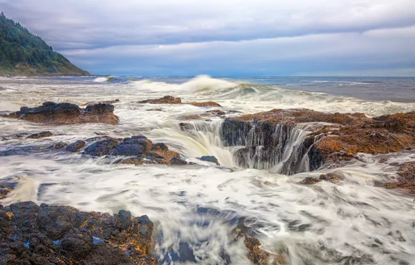 Море, волны, лес, небо, облака, камни, скалы, берег