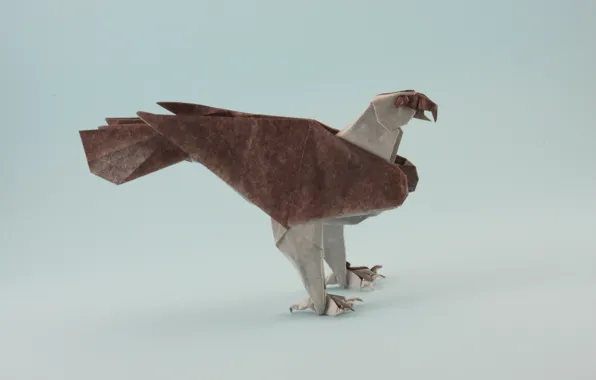 Лапы, оригами, origami, paws, скопа, brown osprey, osprey, коричневый скопа