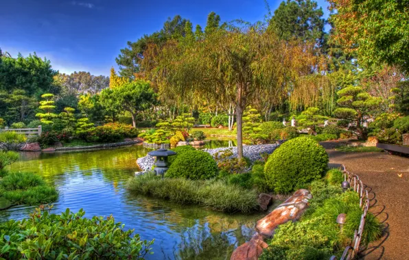 Картинка деревья, пруд, сад, дорожка, USA, кусты, California, клумбы