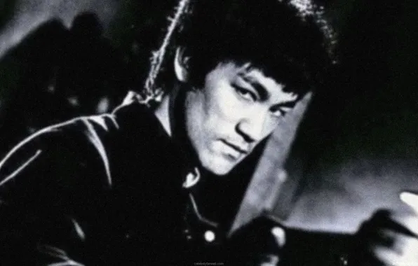 Legend, Bruce Lee, Master, Fighter