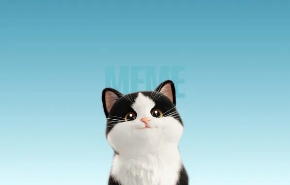 Картинка Meme, Cartoon, Cute Cat, Blue background
