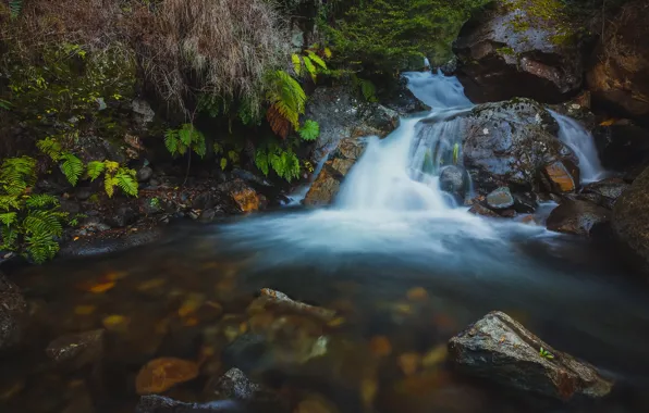 Картинка лето, вода, пейзаж, природа, камни, растительность, водопад, поток