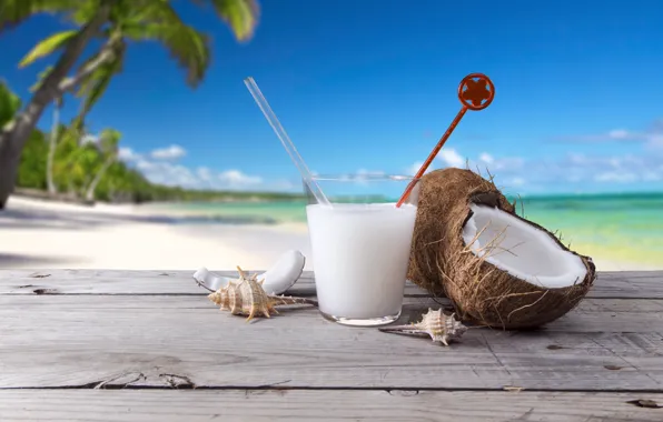 Картинка море, пляж, пальмы, кокос, коктейль, ракушки