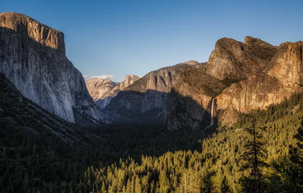 Деревья, пейзаж, горы