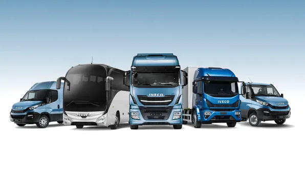 Daily, stralis, iveco, iveco buses