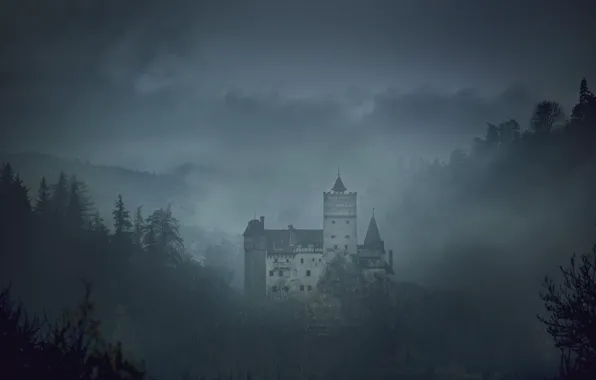 Картинка небо, деревья, туман, Румыния, средневековая архитектура, замок Бран