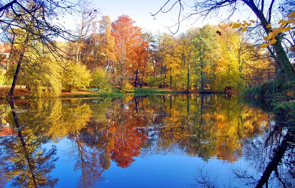 Осень, листья, деревья, скамейка, пруд, парк, отражение