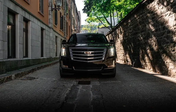 Картинка Cadillac, USA, Escalade, Wood, Wall, Green, Front, Lights