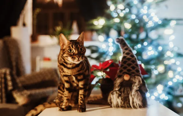 Кошка, кот, праздник, игрушки, Рождество, Новый год