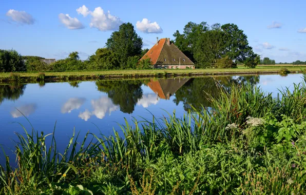 Зелень, небо, трава, вода, солнце, облака, деревья, дом
