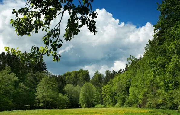 Картинка пейзаж, природа, Германия, Бавария, луг, Leuchtenberg