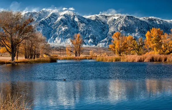 Картинка осень, деревья, горы, озеро, камыш