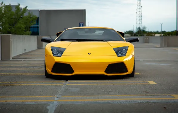 Картинка Lamborghini, Murcielago, Yellow, LP640