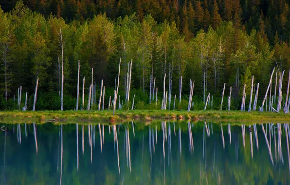 Аляска, США, Chugach National Forest, Portage Lake