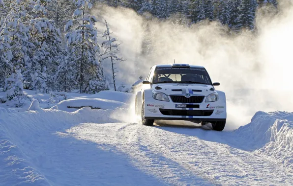 Картинка Зима, Снег, Спорт, Поворот, День, Автомобиль, WRC, Rally